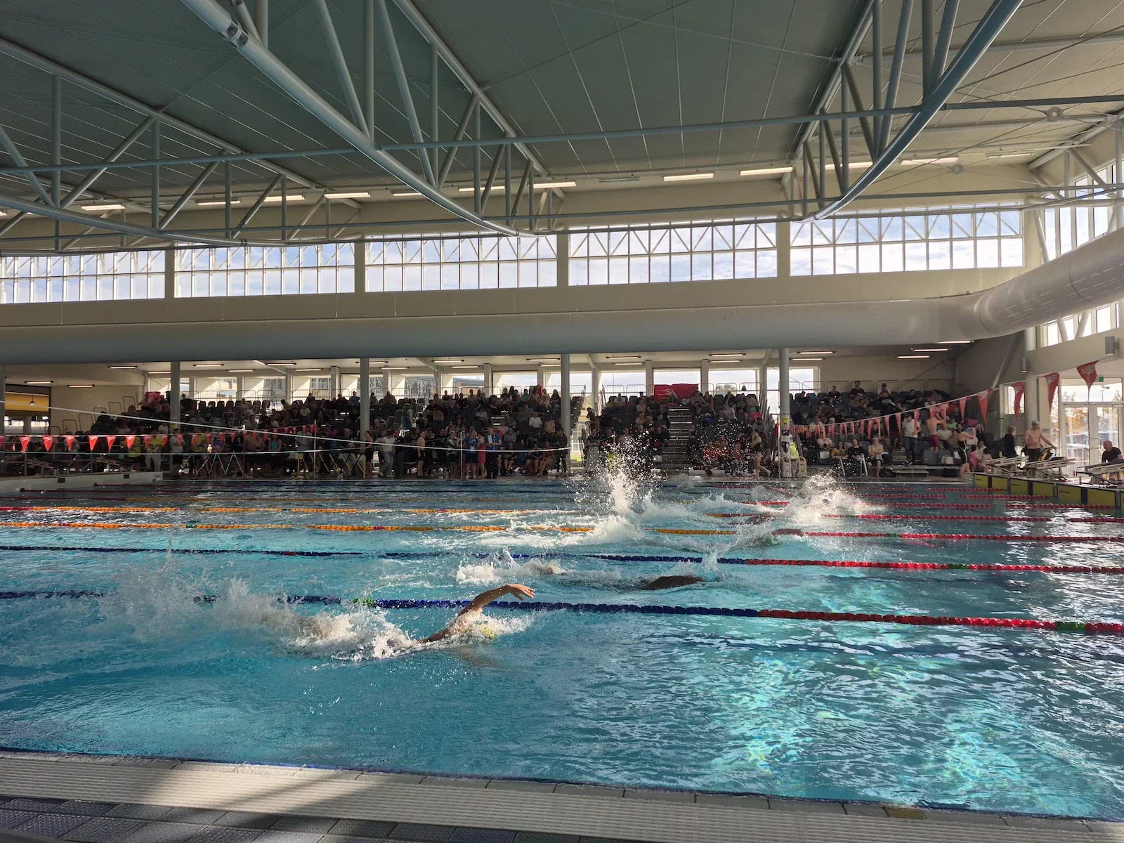 What's the Difference Between Short Course and Long Course Swimming?