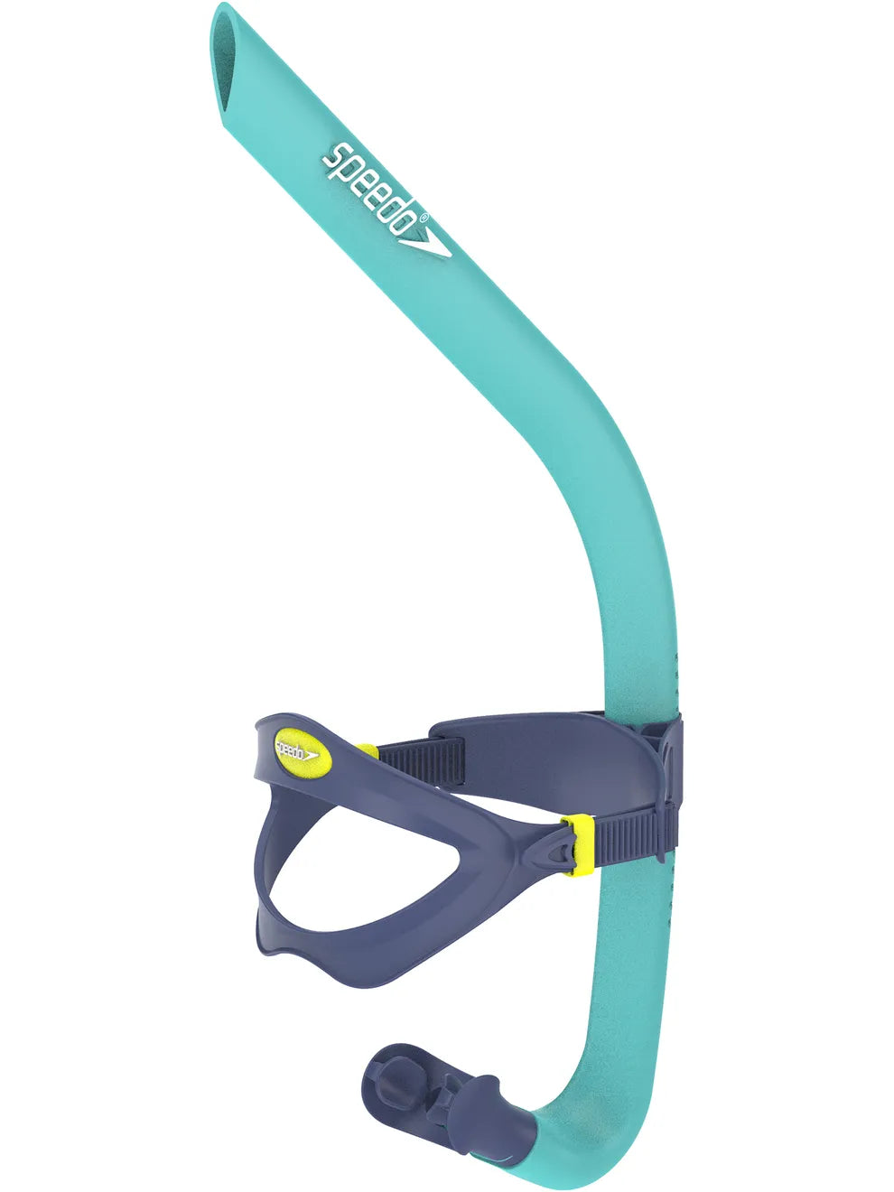 Teal and gret swim snorkel with 'Speedo' branding on a white background