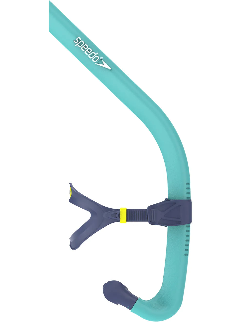 Teal and gret swim snorkel with 'Speedo' branding on a white background