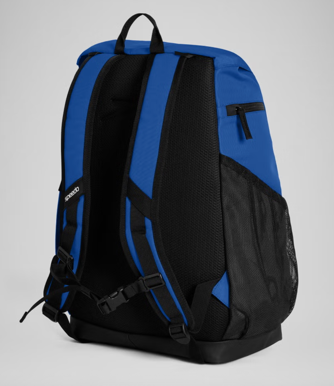 Back view of blue backpack with Speedo logo on shoulder straps